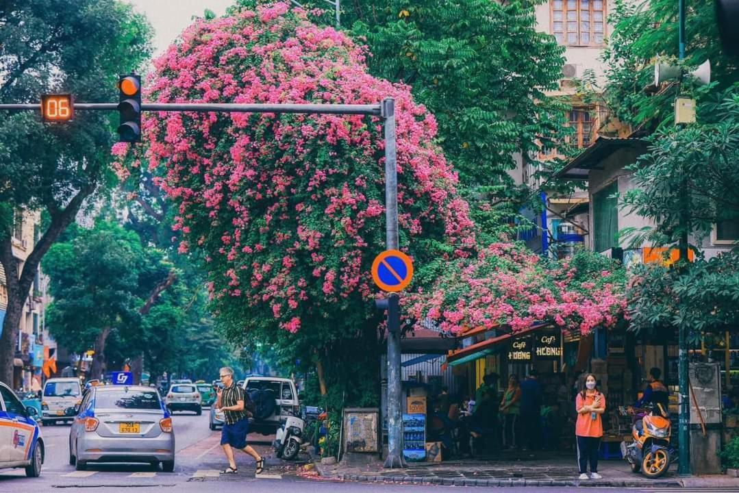 Tropical Land Little Hanoi Homestay Kültér fotó