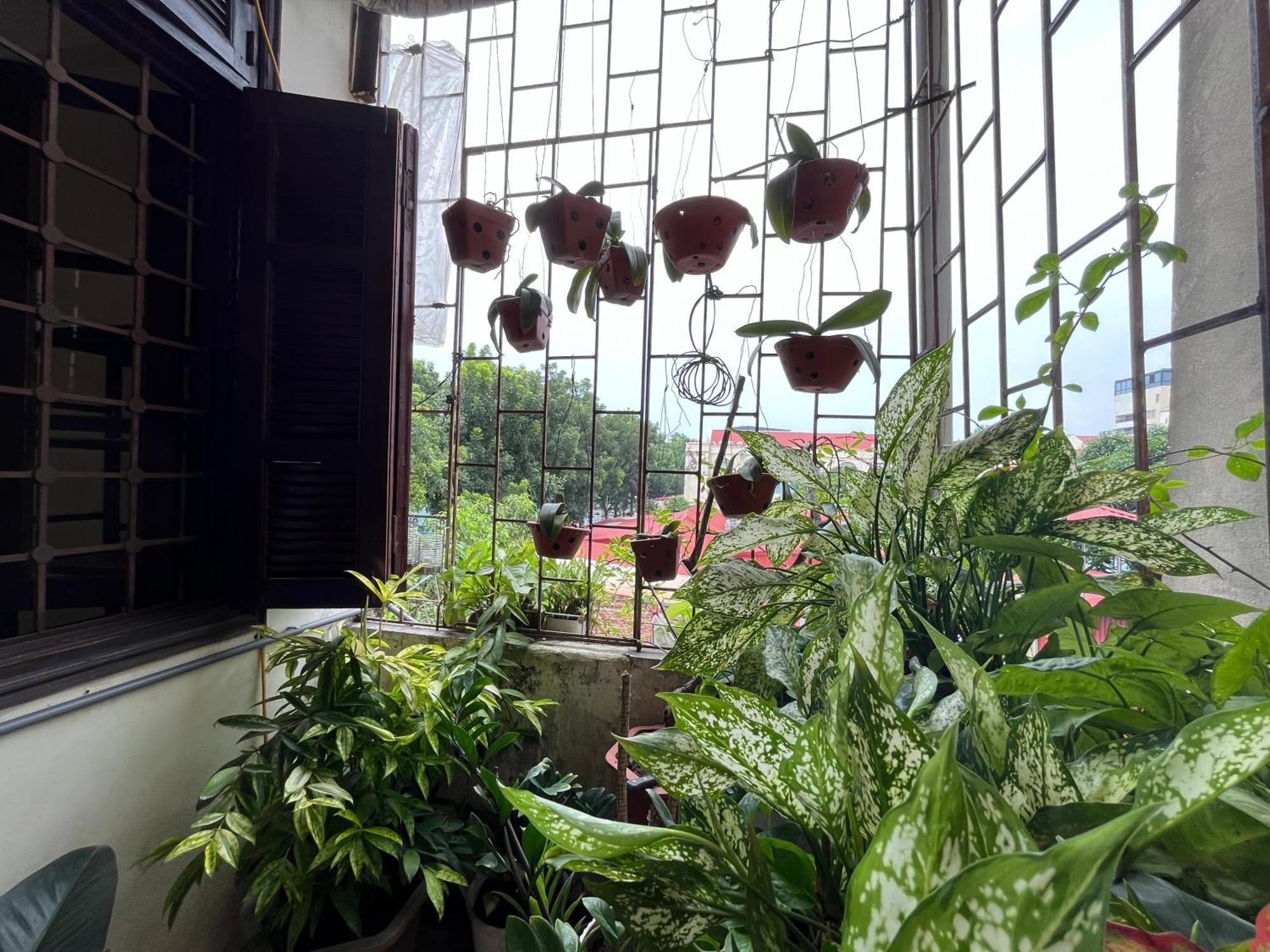 Tropical Land Little Hanoi Homestay Kültér fotó